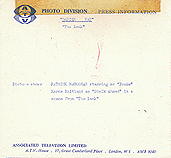 Still Details (from Reverse)